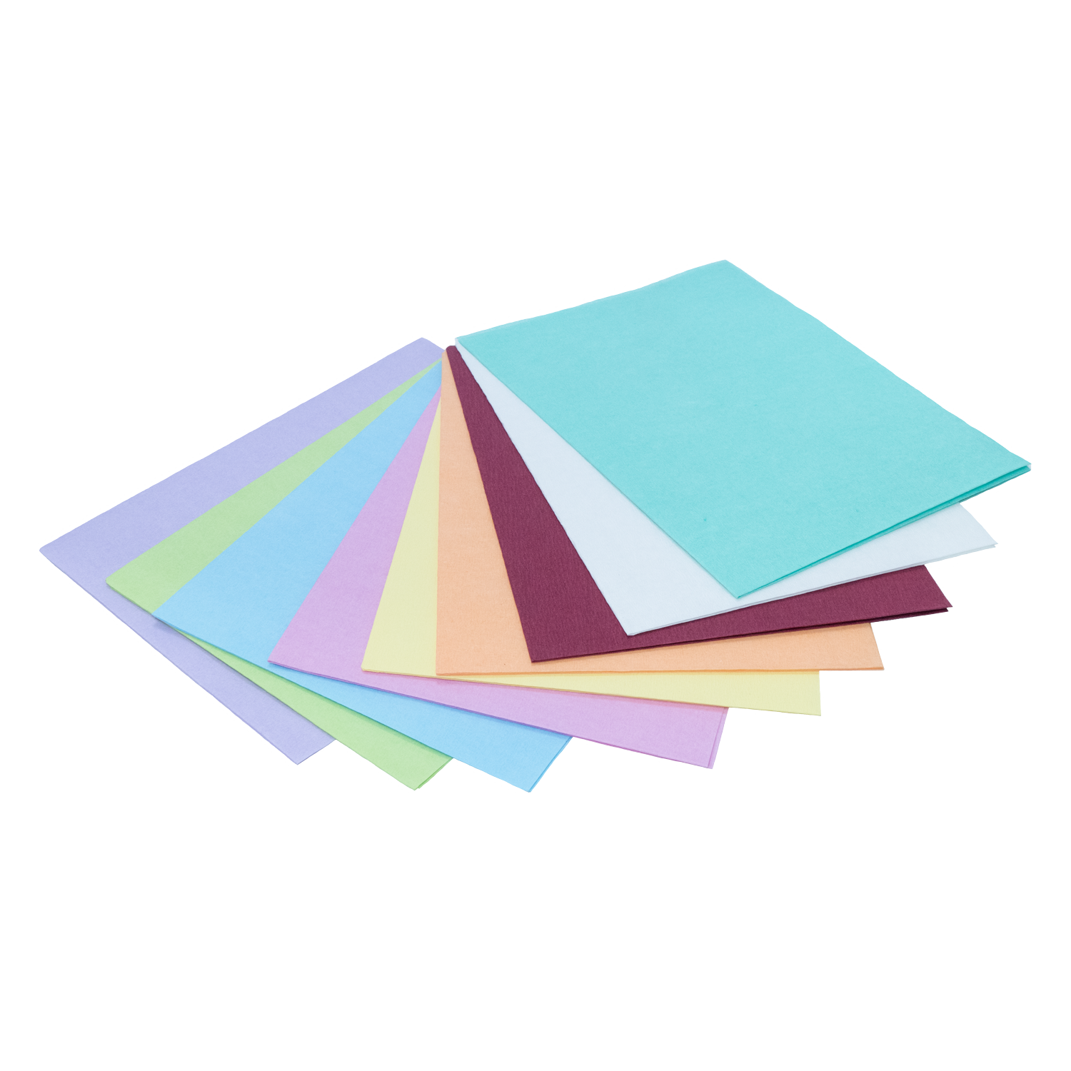 Filterpapier | Norm Tray Einlage